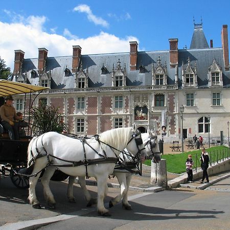 Blois City - Le Petit Saint Jean Exteriör bild