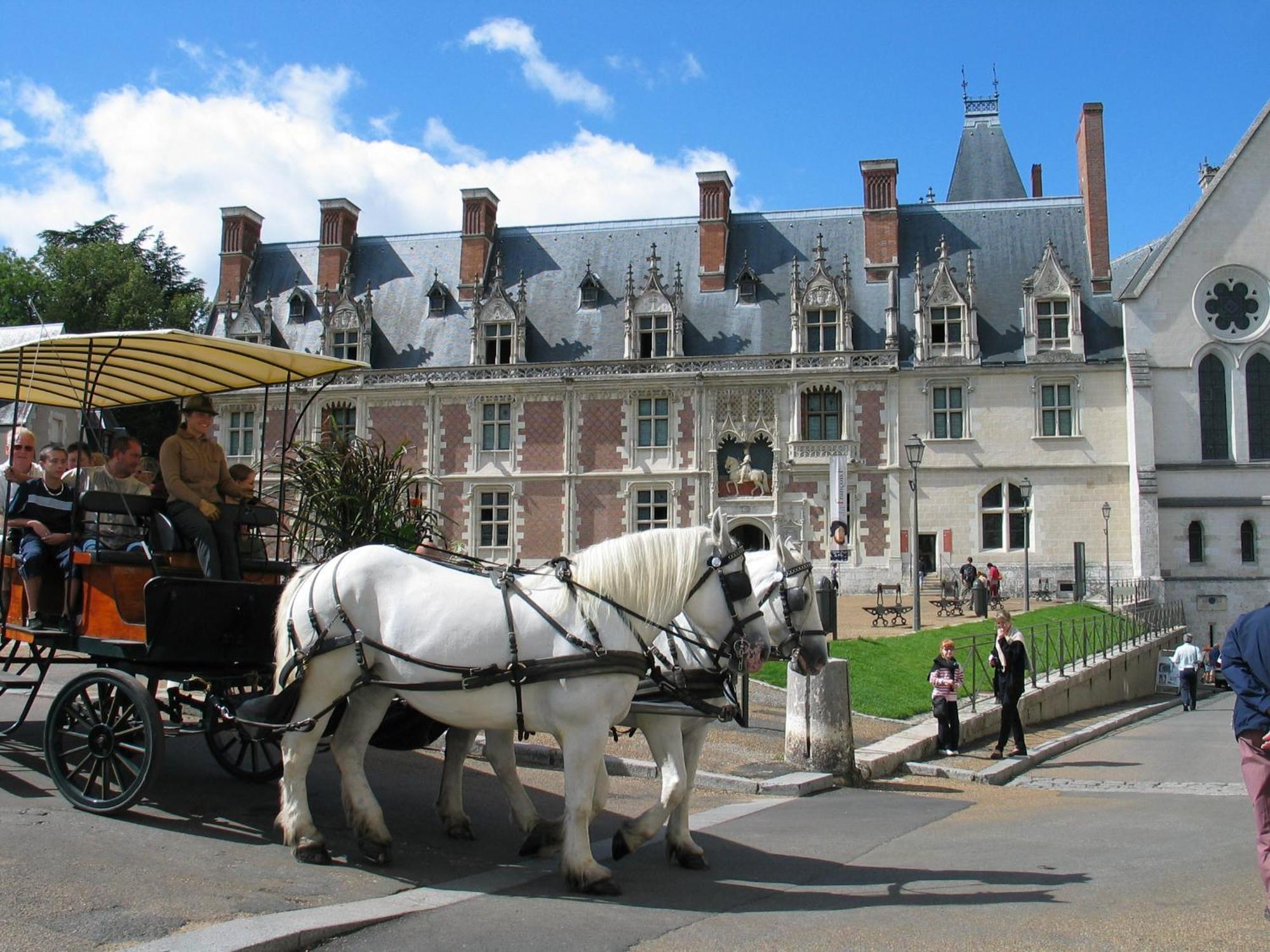 Blois City - Le Petit Saint Jean Exteriör bild